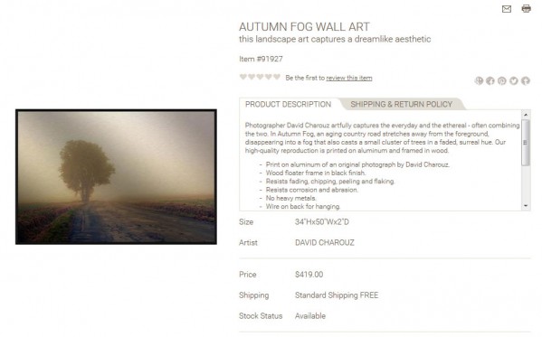 Autumn Fog Wall Art product description